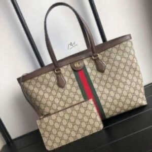 Gucci GG ophidia Bag in Bag Tote Bag 301